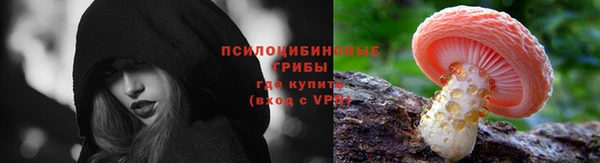 дурь Балахна